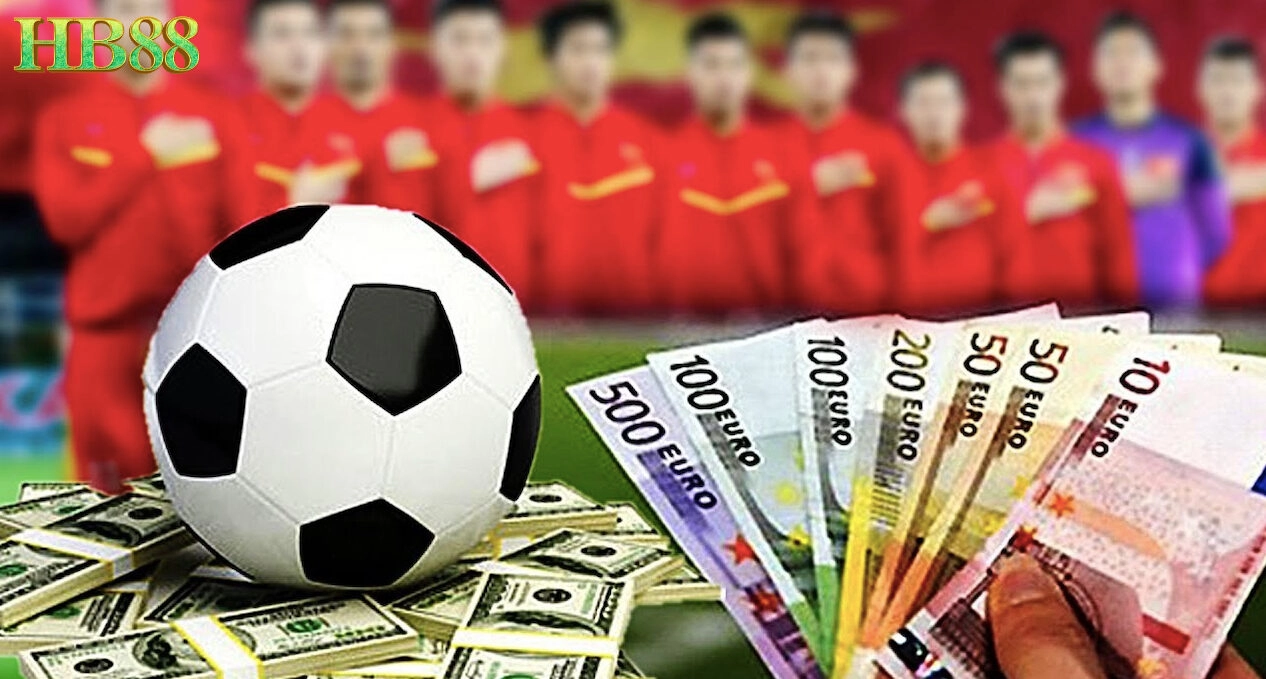 Tổng quan về Hallo Win